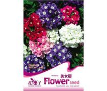 阳台花园新手必备 优质花卉种子选购指南